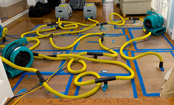 Professional Basement Flood Cleanup technician working in White Oak, MS